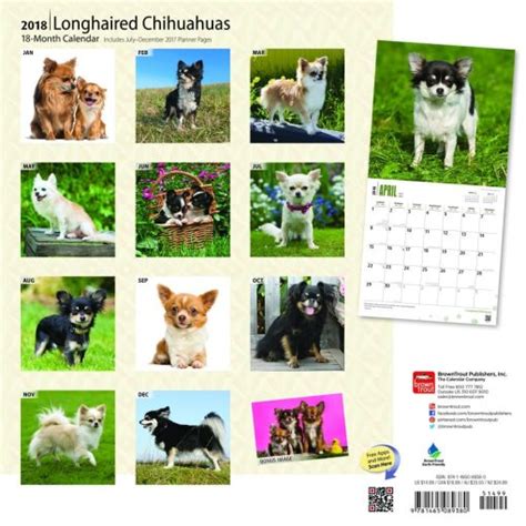 longhaired chihuahuas calendar multilingual edition Doc